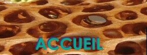 Accueil